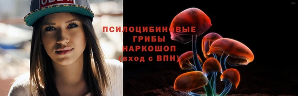 PSILOCYBIN Алексеевка