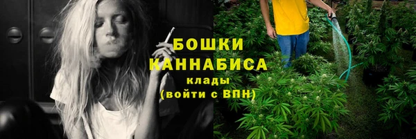 PSILOCYBIN Алексеевка