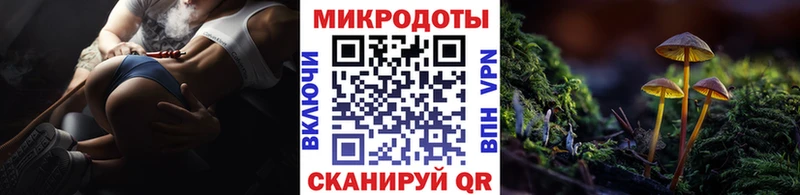 закладки  Южно-Сахалинск  Галлюциногенные грибы GOLDEN TEACHER 