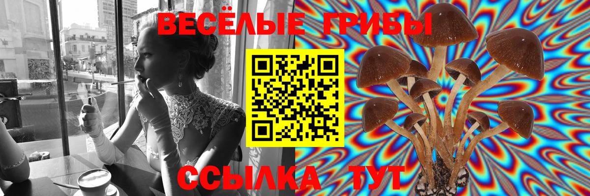 Псилоцибиновые грибы Psilocybe  Вход с VPN  Южно-Сахалинск  Галлюциногенные грибы GOLDEN TEACHER 