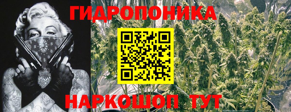 Бошки марихуана Bruce Banner  Марихуана план  Вход с VPN  Марихуана Ganja  Южно-Сахалинск 